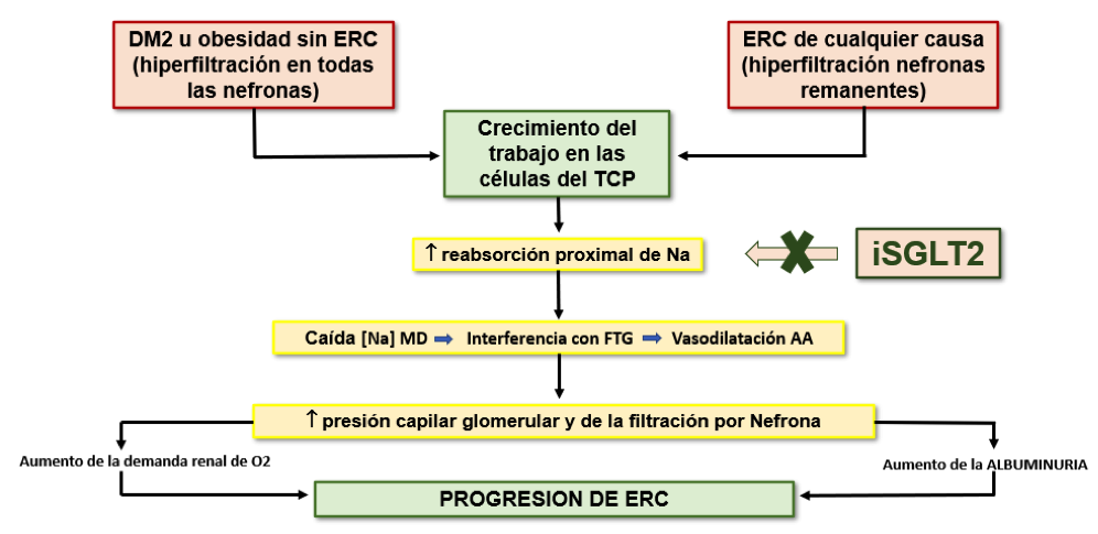 Description: Diagrama, Escala de tiempo

Descripción generada automáticamente